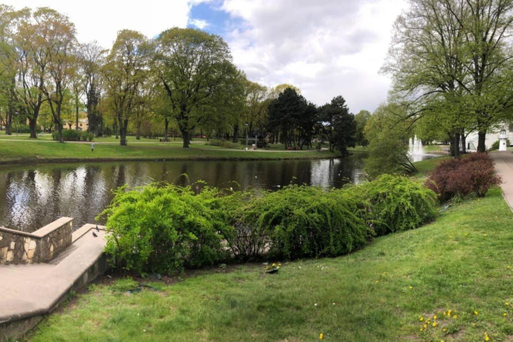 New Comfortable Apartment Nearby Promenade In 5 Minutes From Old Town Of Riga. Exteriör bild