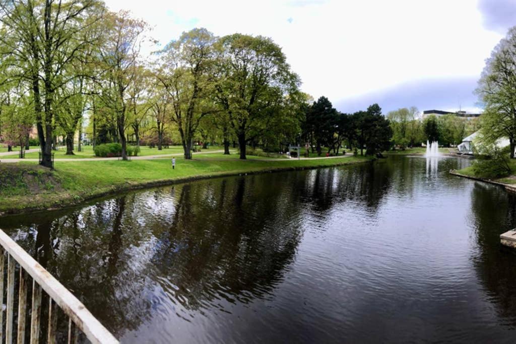 New Comfortable Apartment Nearby Promenade In 5 Minutes From Old Town Of Riga. Exteriör bild